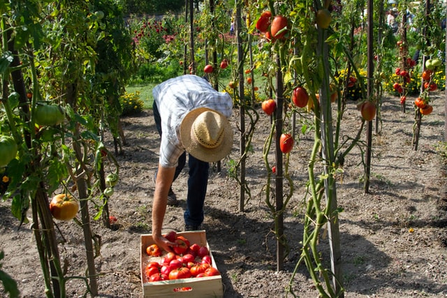 agriculture raisonnée